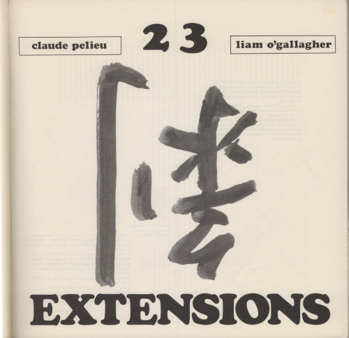 A scan of the the title page for 23 Extensions. A large Chinese character is in the center of the page with the title and authors at the top and bottom.